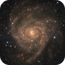 IC 342, Roberto Marinoni