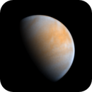 Venus UV 10-Jul-25, Tom Williams