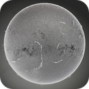 The Sun in Ha (inverted), Catherine Ryan Hyde