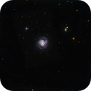 M61 A Barred Spiral, Steve Argereow