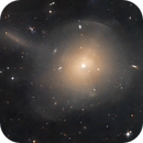M89, Timothy Martin