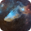 The Blue Horesehead Nebula - IC 4592, Niall MacNeill