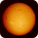 Sun full disk in h-alpha taken 22062025, nonsens2