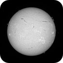 Sun FD in H-Alpha 8th of July 2025, Arne Danielsen