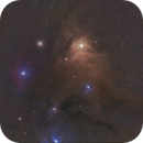 The Rho Ophiuchi Cloud Complex, Catherine Ryan Hyde