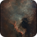 NGC 7000 North American Nebular, Wolfgang Ransburg