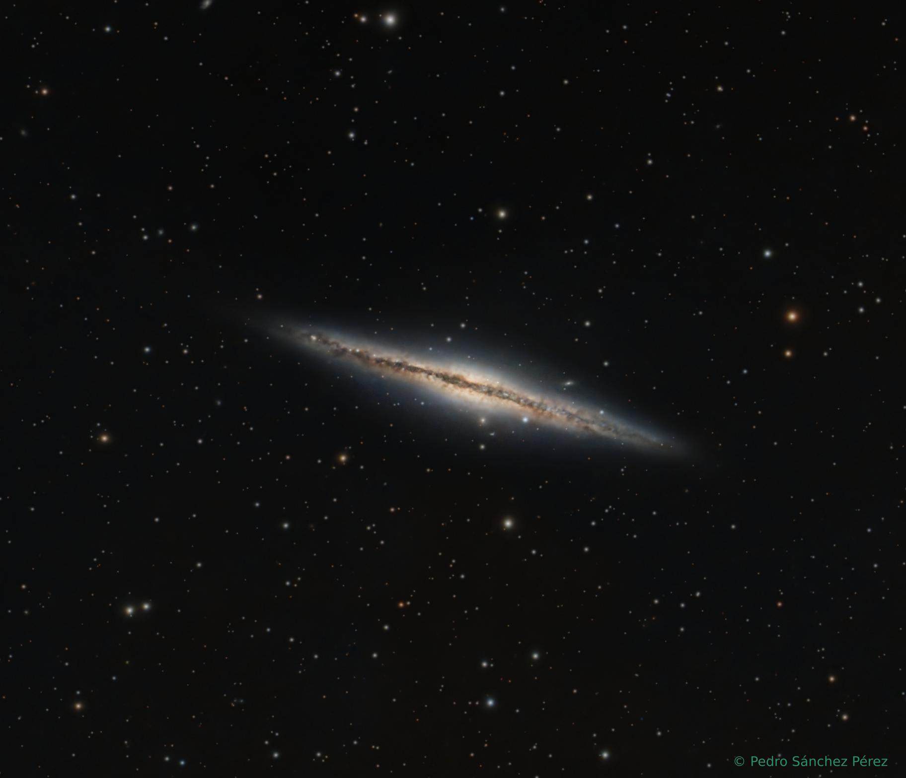 NGC 891