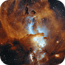 NGC 3576 - Liberty Statue Nebula, Rodrigo Carvalho