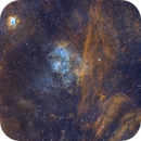 SH2-112 , SH2-115 , and Abell 71, Michele Vonci