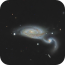 Arp84 Heron Galaxies, Mau_Bard