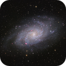 The Triangulum Galaxy Revisited, Alex Roberts