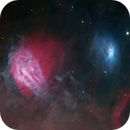 H-alpha Wasp's Nest:  IC 431 and 432, reflection and emission nebulae in Orion, Daniel Cimbora