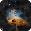 IC 417 - The Spider Nebula in SHO, Roger Ménard