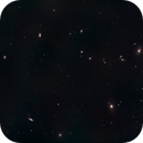 Markarian's Chain, Bozo