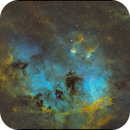 Tadpole Nebula - IC410 - SHO, Patrick Jasanis