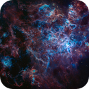 NGC 2070 - Tarantula Nebula-LMC - RGBSHO - GRT South, John Williams