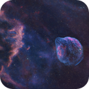 Sh2-308 Dolphin Nebula, ScottF