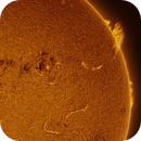 The Sun - 13.07.2025 - 10:37, Jan Erik Vallestad