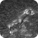 Sun H-alpha: Chromosphere 29.04.2025, Olegs_Astrophotography