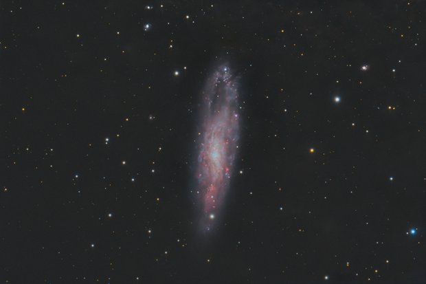 NGC 247