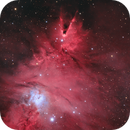 NGC 2264 "Christmas Tree" Cluster & Associated Nebulae, Mark Germani