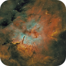 Sh2-86 SHO, David Rosenthal