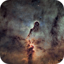 The Elephant Trunk Nebula (IC1396) in Dual Narrowband OSC, Gael Gibert