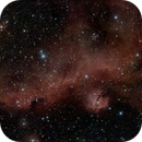 Seagull Nebula NGC2343, Frank Szabo