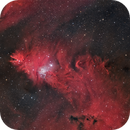 NGC 2264  - Christmas Tree Cluster, Paul Puntin