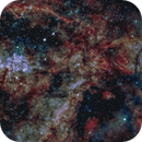 Fish (NGC896) & Mel15 (IC1805) - 150/450 Quattro - ASI2600MC Duo Air - 3H00, Michel