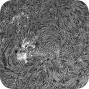 Sun H-alpha: Chromosphere 28.04.2025, Olegs_Astrophotography