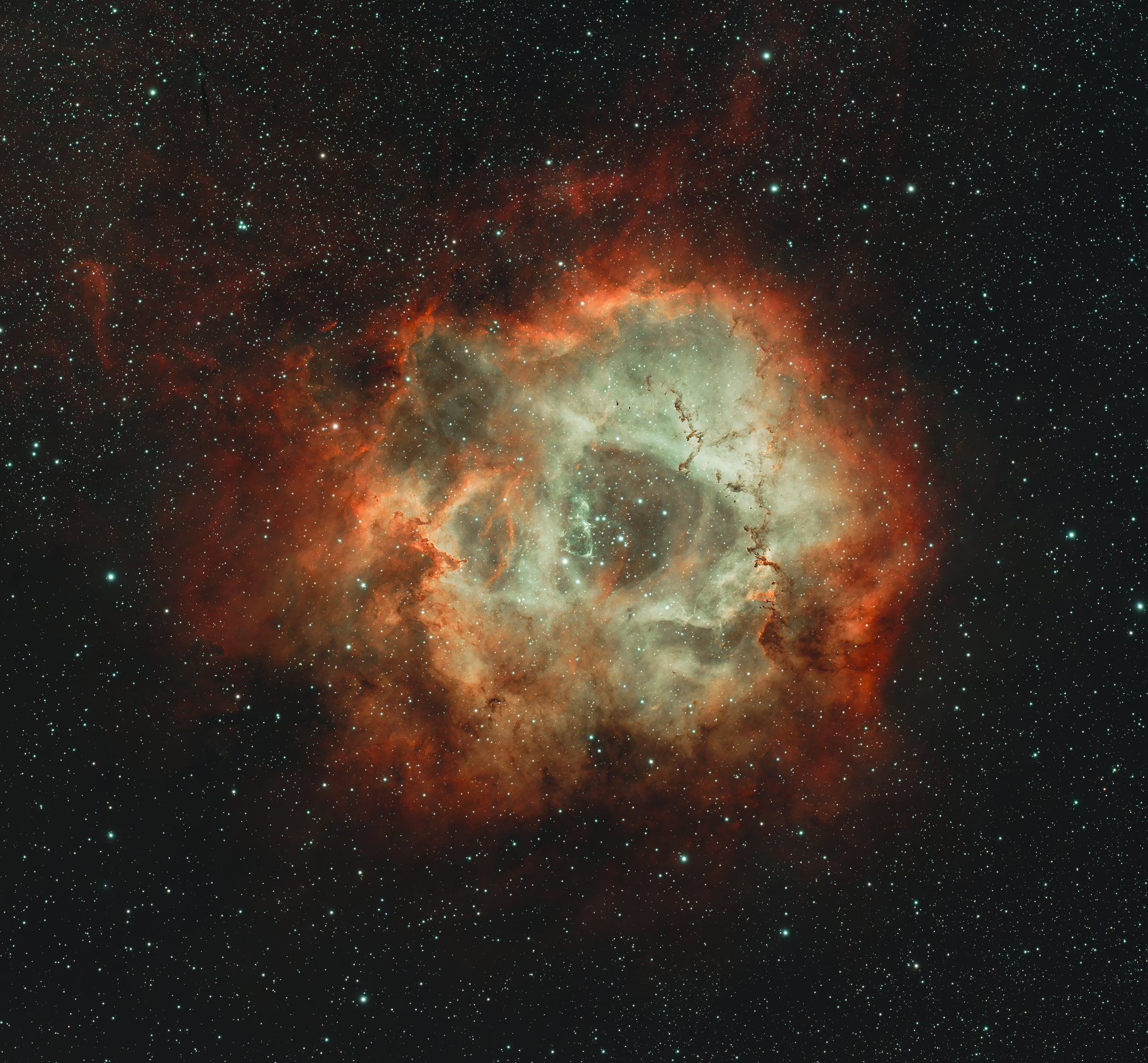 Rosette NGC 2237