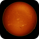sun full disk in h-alpha taken 03072025, nonsens2