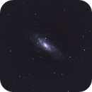 NGC 4559, Catherine Ryan Hyde