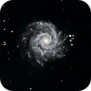 M74, Peter Bresler