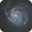 m  101, John Leader