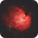Monkey Head Nebula 4hr, Matej Lindič