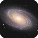 Messier 81 - Bode's Galaxy, Roger Ménard