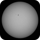 Whole Sun in WL on May 18th, 2025, Michael von Berner-Purgstall