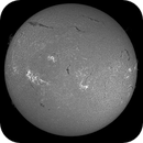 Sun H-alpha: Chromosphere 12.06.2025, Olegs_Astrophotography