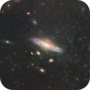 NGC7331 Deer Lick Group, John Favalessa