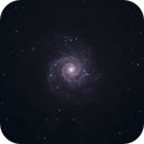 M74, Catherine Ryan Hyde