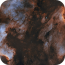 The North American & Pelican Nebula, Sean McDaniel