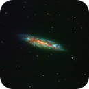 M 108 Galaxy from Florence, Italy, Sandro Fossi