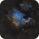 North America Nebula in SHO, DrNigel