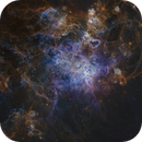 NGC 2070 The Tarantula Nebula, Dave Stearn