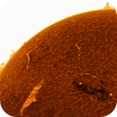 Quarter Sun with Filaproms and Proms - June 22nd, 2025, Rob Calfee