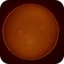 sun full disk in h-alpha taken 02072025, nonsens2