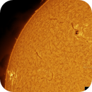 12 jul 25 - 0851ut - ha - mosaic of ar 4136, 4140 with a subsiding flare, and the tower-wall of proms with lift-off from one end, Leela.Astro.Imaging