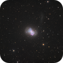 NGC 4449 — A Starburst Beacon in Canes Venatici, Alpha Zhang